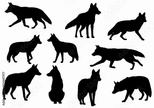 Collection of Diverse Canid Silhouettes: Wolves, Coyotes, and Wild Dogs in Various Poses, Ideal for Graphic Design and Educational Resources