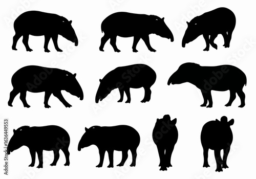 Collection of Tapir Silhouettes in Various Poses, Ideal for Wildlife, Nature, and Animal Design Projects on a White Background