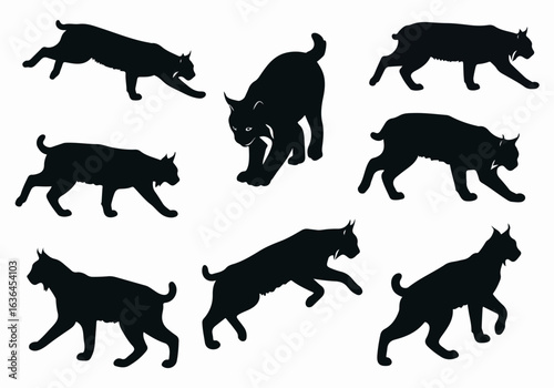 Dynamic lynx and bobcat silhouette vector set: various poses of wild feline predators isolated on white for wildlife and nature themes.