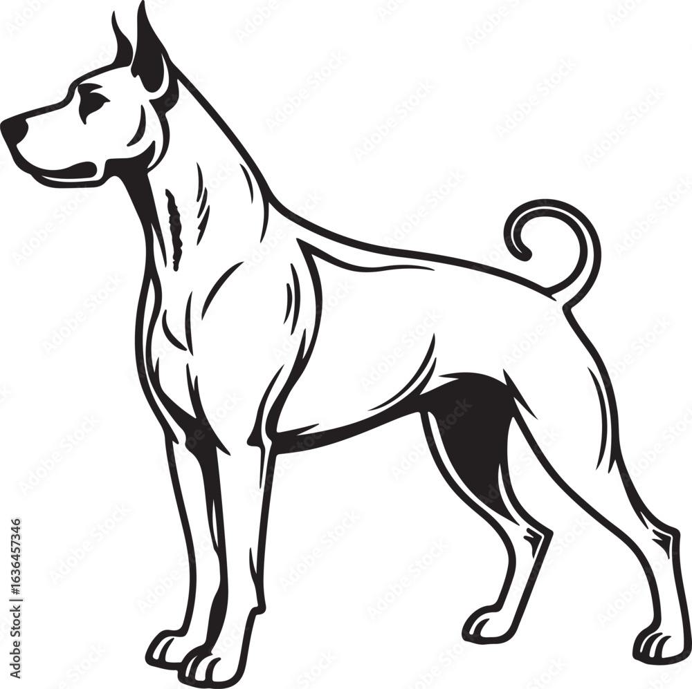 Fototapeta premium Drever dog vector art silhouette image
