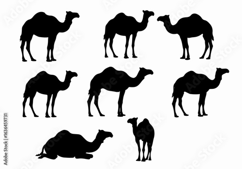 Camel Silhouettes Set: Desert Animal Graphics in Various Poses on White Background, Perfect for Icons and Design Elements