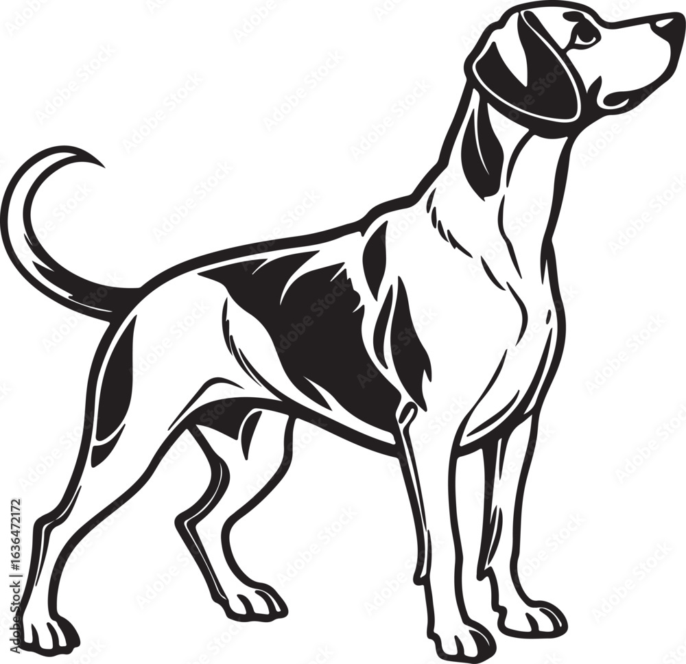 Fototapeta premium Drever dog vector art silhouette image