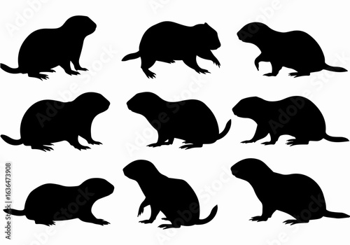 Black silhouettes of groundhogs or marmots in various poses on a white background, ideal for graphic design and wildlife illustration.