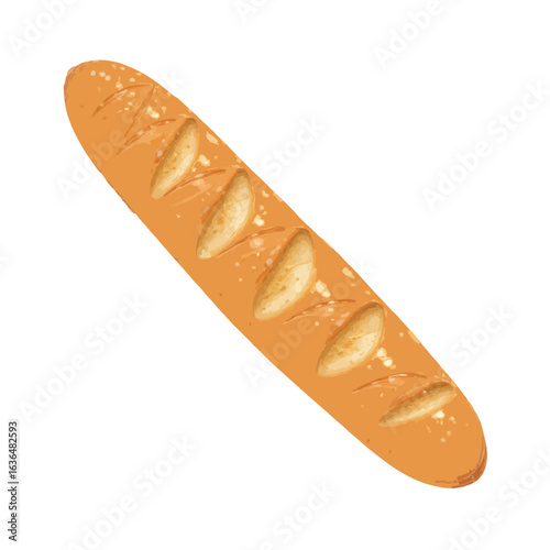 Baguette vector illustration 