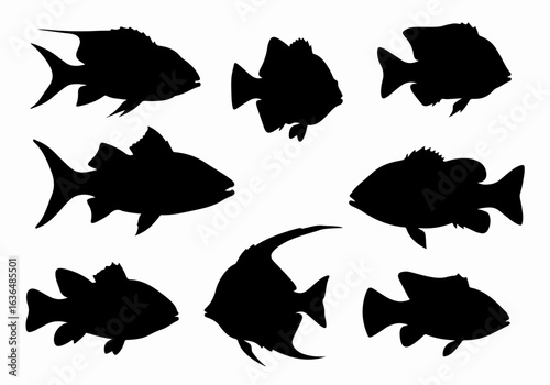 Diverse Fish Silhouettes Collection Isolated on White for Aquatic and Marine Design