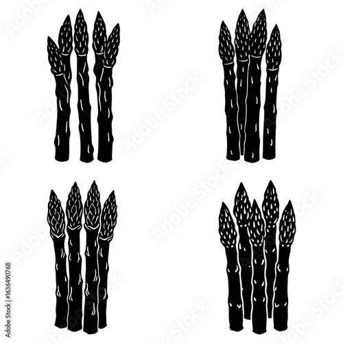 Four groups of asparagus stalks in black and white minimalist illustration style drawing style image