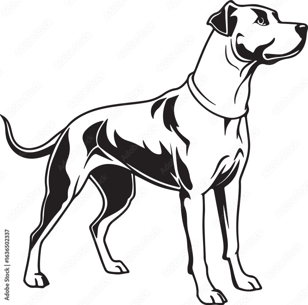 Fototapeta premium Drever dog vector art silhouette image