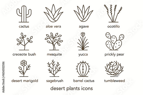 Desert plant icons: cactus, aloe vera, agave, ocotillo, yucca