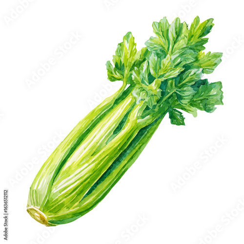 My Watercolor illustration, celery stalk painting isolated on a white background, illustration, AI painting design, vector set, eps format, My illustration design, collection
