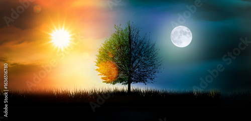 Licht und Schatten in einer imaginären Landschaft mit Baum