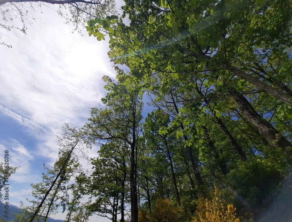 Fototapeta premium Sentiero di collina