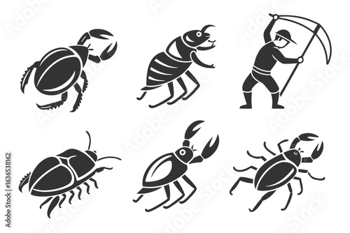 Insect and bug collection