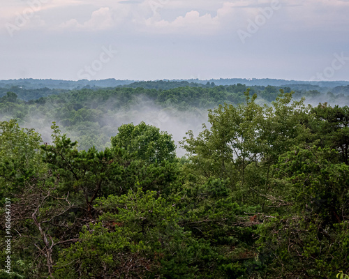 Ash Cave Firetower view, Hocking Hills State Park, Ohio