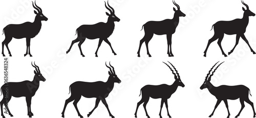 A series of black silhouettes featuring the graceful movements and poses of the addax antelope. Perfect for wildlife, nature, and animal illustration. addax antelope isolated on white background.