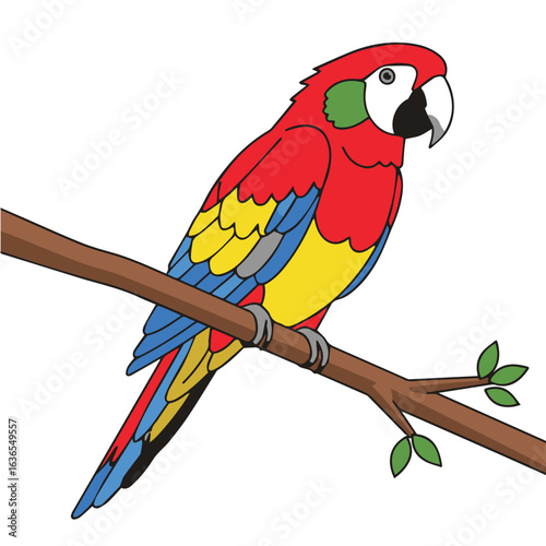 A vibrant parrot with colorful feathers, a cheerful and intelligent bird from the lush, tropical rainforest canopy
