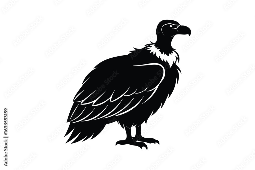 Obraz premium Detailed Black Vulture Standing Profile Illustration in Silhouette Style on White Background Ideal for Wildlife and Nature Designs silhouette