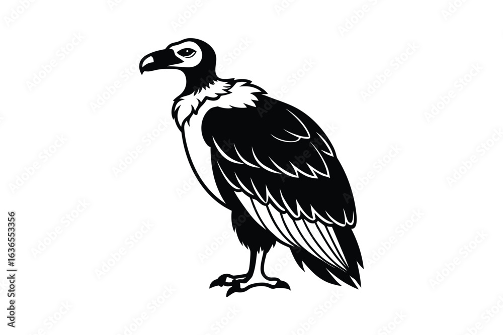 Fototapeta premium Detailed Black and White Vulture Illustration Standing Tall in Silhouette Style silhouette