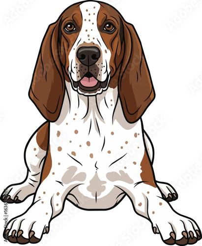 Cute American English Coonhound smiling sitting front view vector illustration