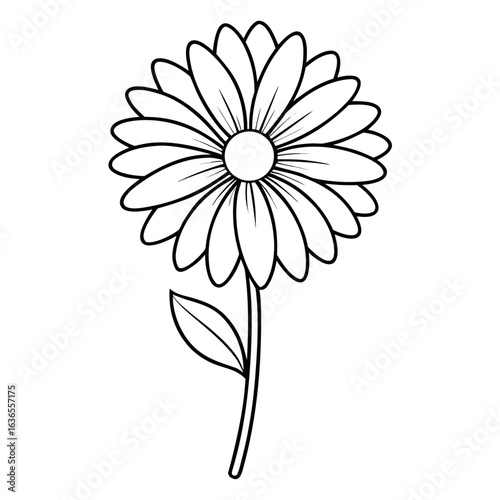 daisy flower vector illustration
