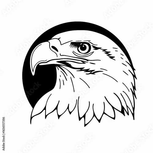 eagle head vector, face head, silhouette
