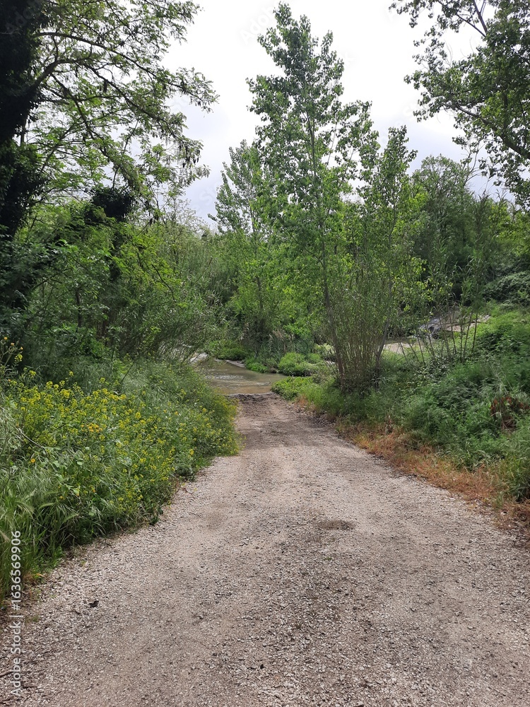 Fototapeta premium Piccola cascata nella natura