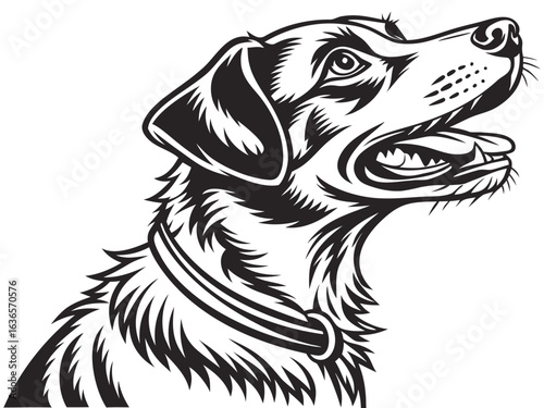vector illustration of a dog