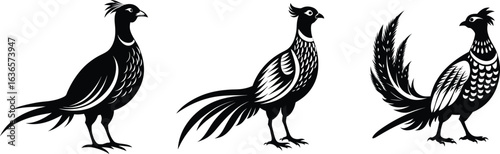 Three stylized pheasant illustrations in black and white showcasing different plumage