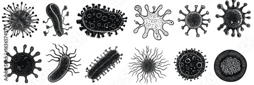 Detailed black and white vector illustration of various bacteria and virus microorganisms with diverse shapes and structures in a flat minimalist style