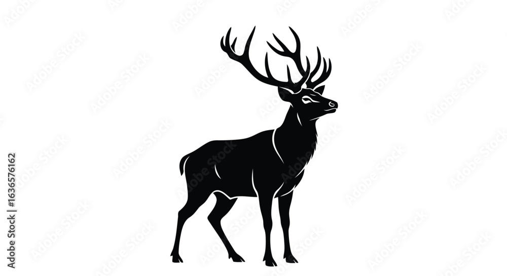 Obraz premium Vector majestic stag with large antlers, isolated on white