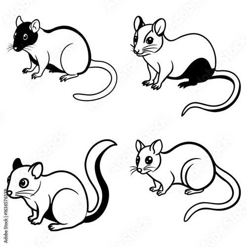 Four stylized black and white rodents with varied markings and curled tails in simple line art