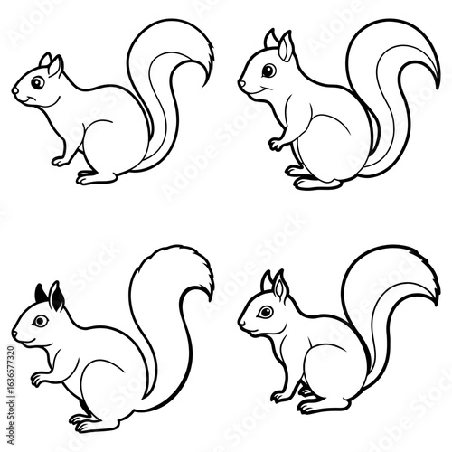 Four outlined squirrels in various poses with bushy tails on a white background illustration art