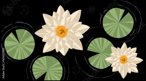 Beautiful White lotus flowers and leaves on pond water