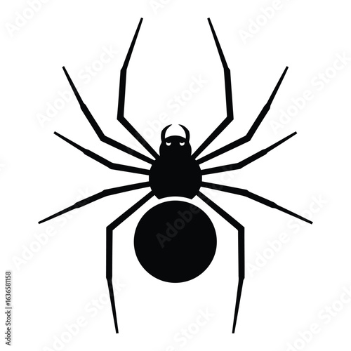 Black Spider Silhouette