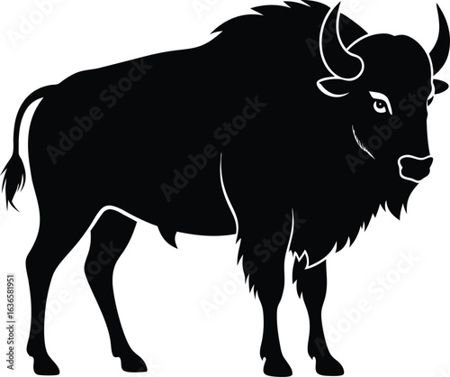 Majestic bison silhouette side view on white background