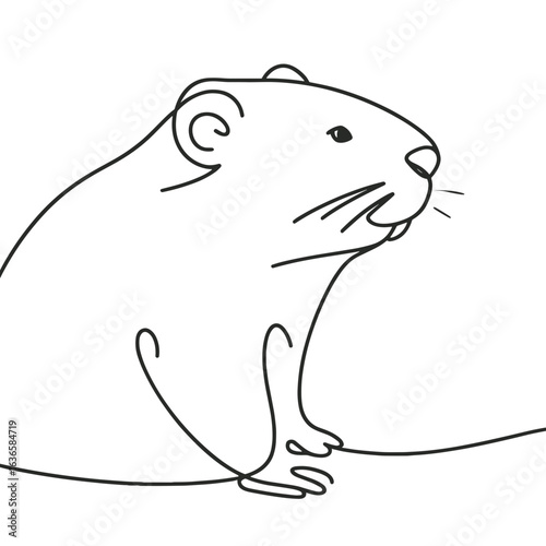 Groundhog sitting on plain background