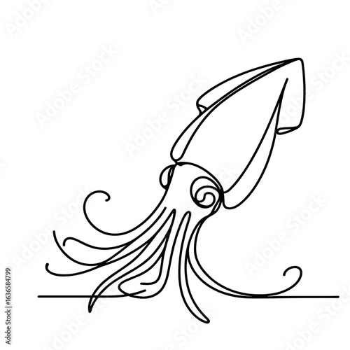 Giant squid swimming against transparent background