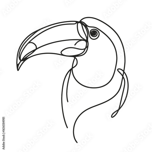 Toucan illustration in line art style in black and white