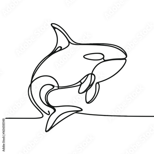Orca breaching out of water