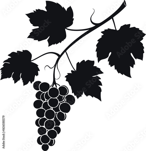 Black grapevine silhouette with clustered grapes and detailed leaves, ideal for wine-themed designs, vineyard branding, organic food labels, nature prints, or botanical illustrations.