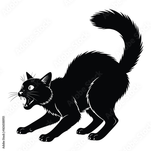 Frightened Black Cat