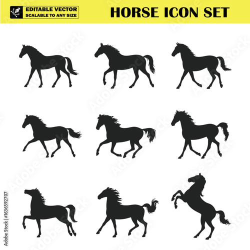 Silhouette illustrations of horses in various dynamic poses for design inspiration and artwork