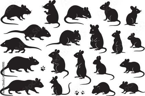 Black rodent silhouettes various poses mouse