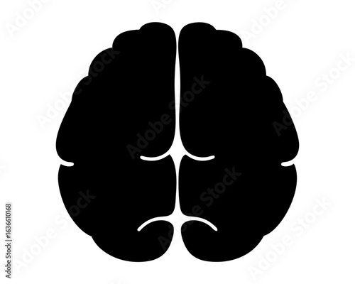 Simplified top view of the human brain anatomical illustration icon