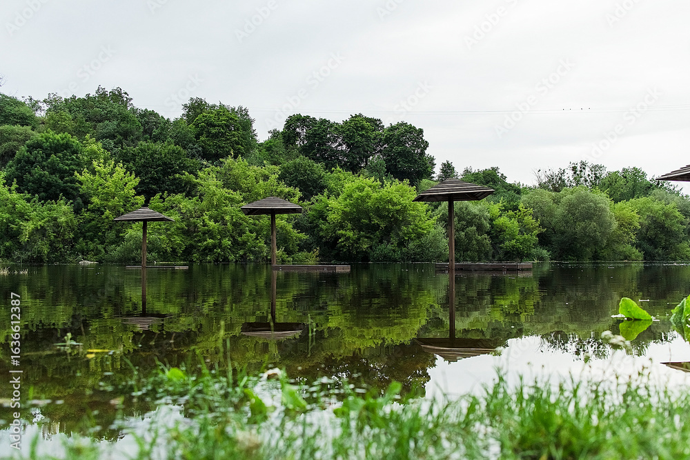 Fototapeta premium A row of wooden sunshades, half underwater, reflects across the still river surface in a serene summer landscape.