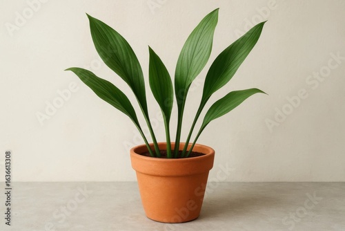 A potted plant with long, slender leaves thrives on a simple wooden surface against a subtle patterned backdrop