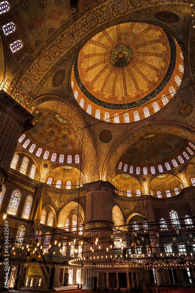 Obraz premium The Blue Mosque in Istanbul