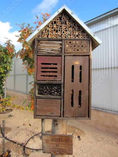 insect hotel