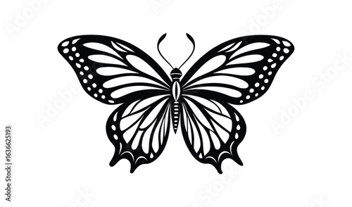 Elegant black and white butterfly illustration with intricate wing patterns