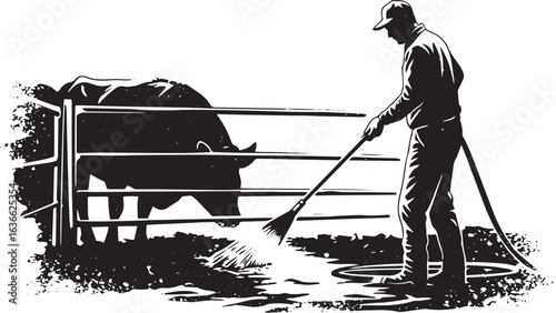 Monochrome illustration of a man cleaning a bull with a hose on