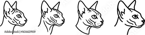 Sphynx cat head side profile outline vector